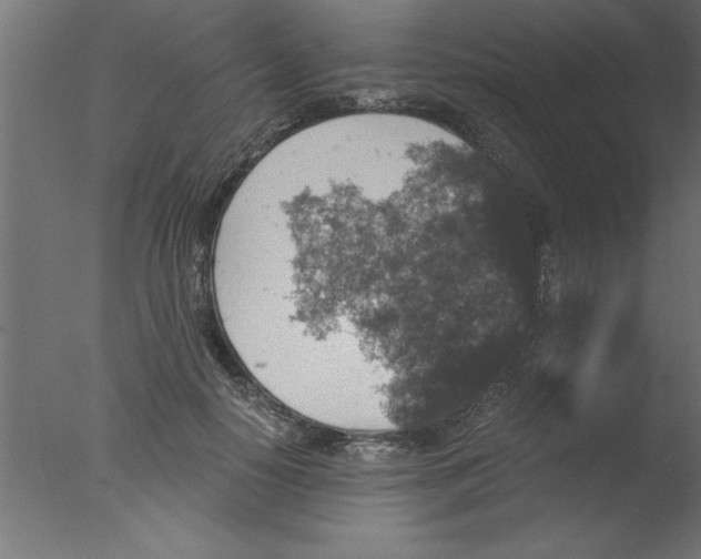 X0000076030650200610201828