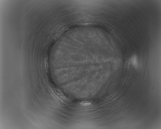 X0000076030651200610201828