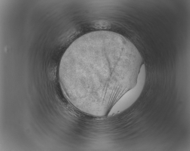 X0000076030652200610201828