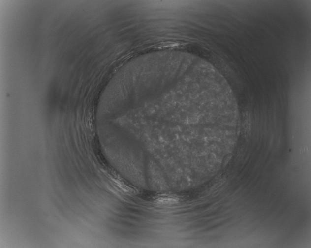 X0000076030653200610201828