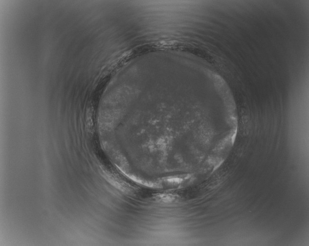 X0000076030654200610201828