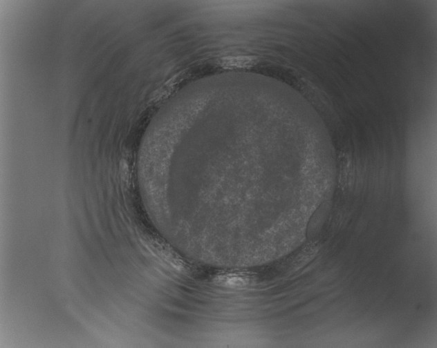 X0000076030655200610201828