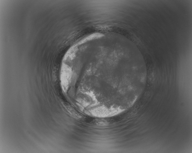 X0000076030658200610201828