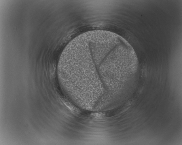 X0000076030660200610201828