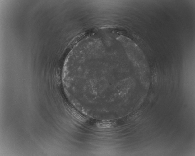 X0000076030661200610201828