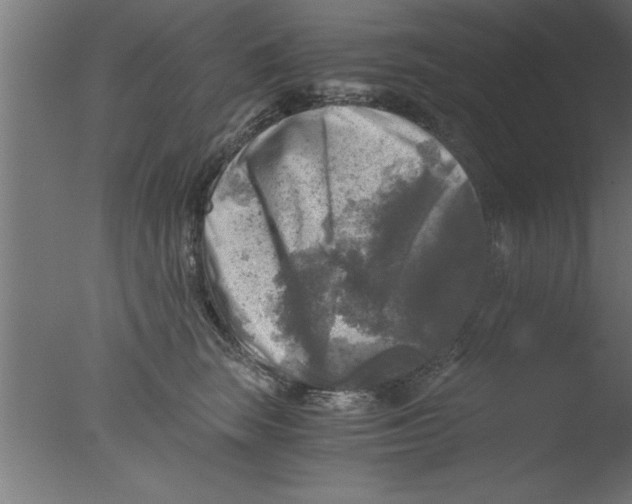 X0000076030663200610201828