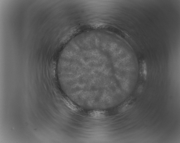 X0000076030664200610201828