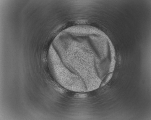 X0000076030665200610201828