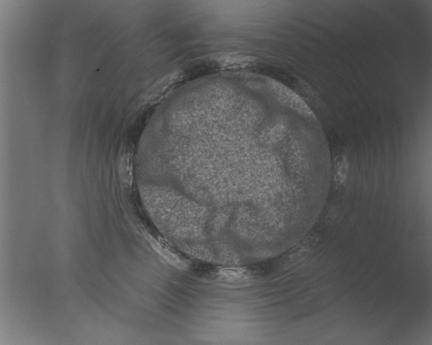 X0000076030666200610201828