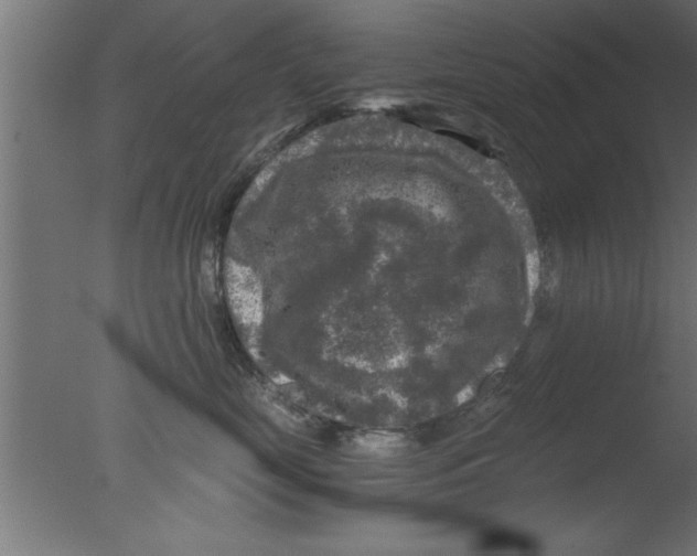 X0000076030669200610201829