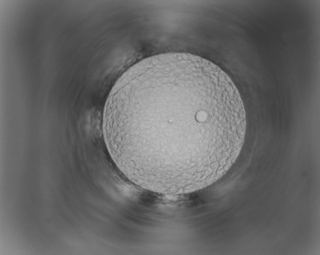 X0000076030672200610201829