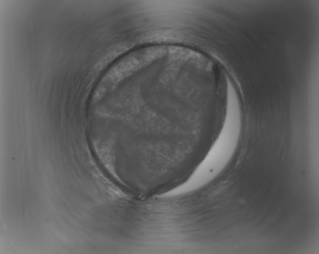 X0000076030673200610201828