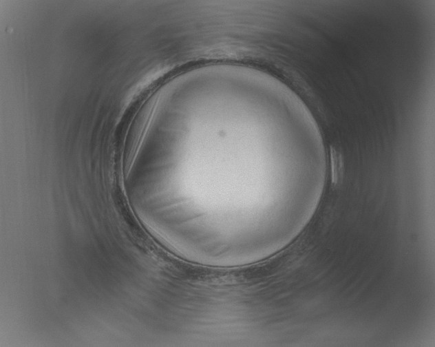 X0000076030675200610201828