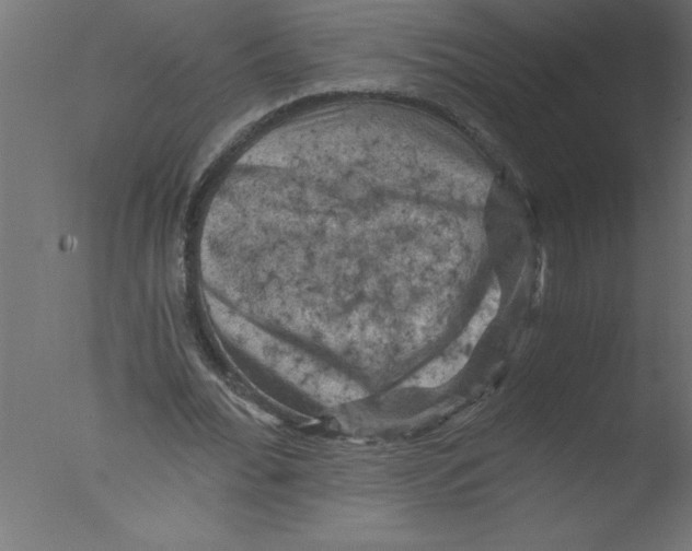 X0000076030676200610201828