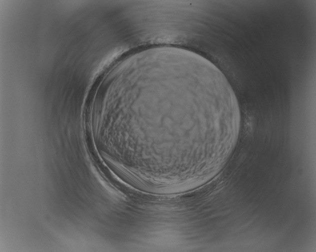 X0000076030678200610201828