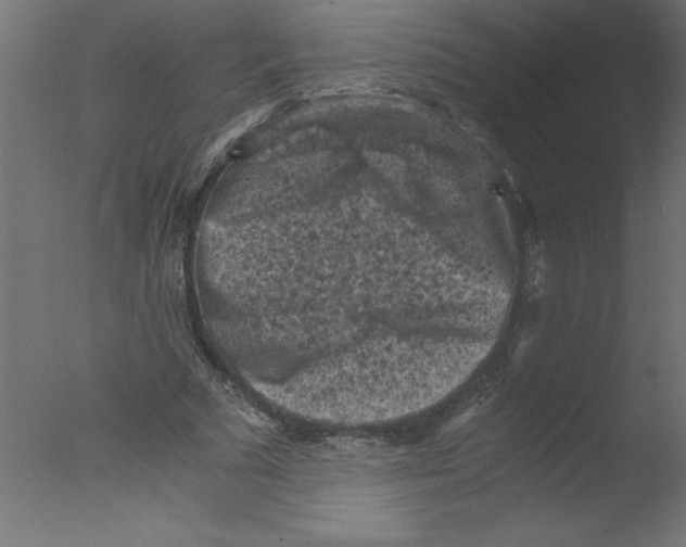 X0000076030681200610201828