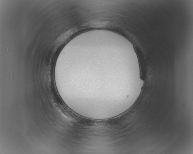 X0000076030682200610201828