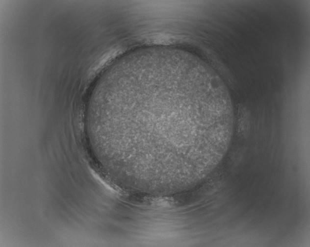 X0000076030683200610201828