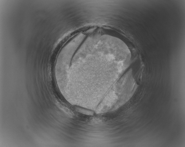 X0000076030684200610201828