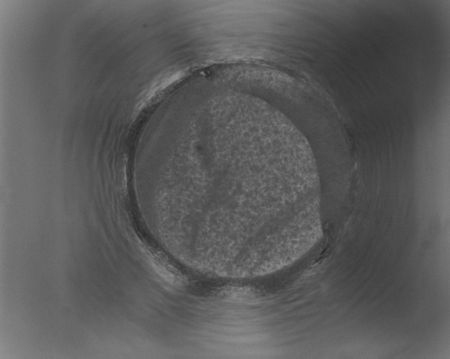 X0000076030685200610201828