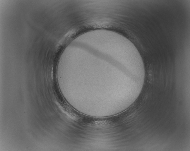 X0000076030686200610201828