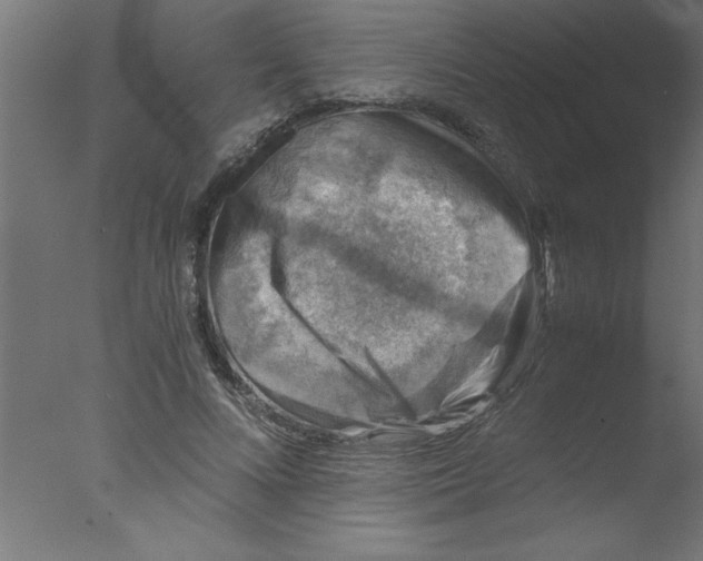 X0000076030688200610201828