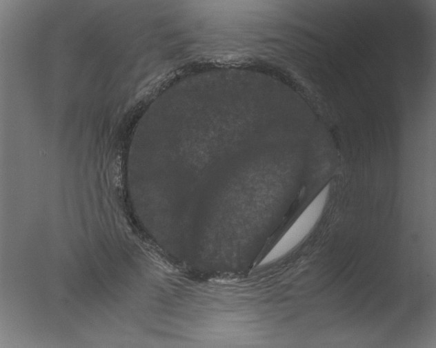 X0000076030689200610201827