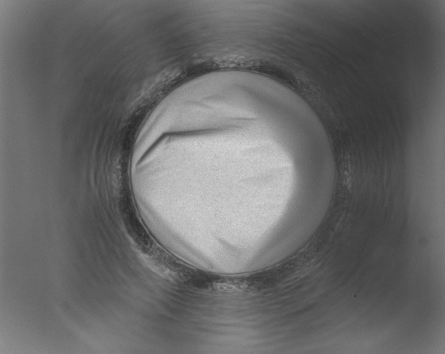 X0000076030690200610201827