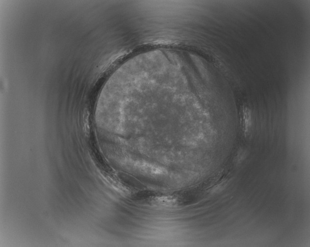 X0000076030692200610201827