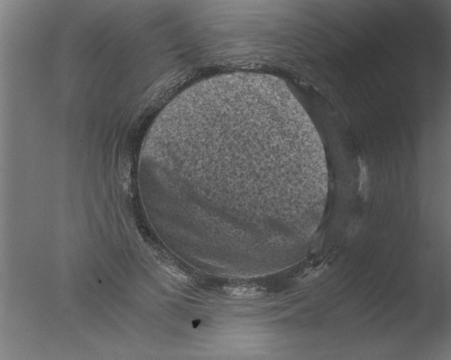 X0000076030693200610201827