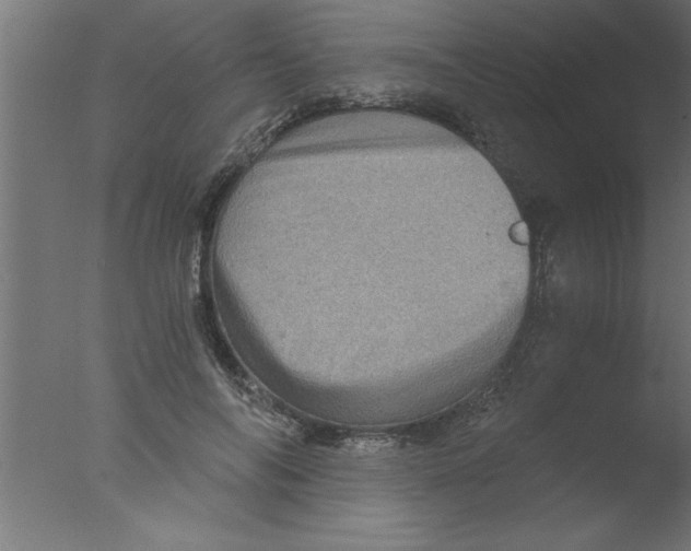 X0000076030694200610201827