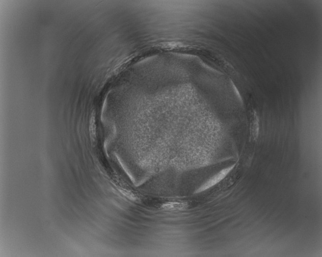 X0000076030700200610201827