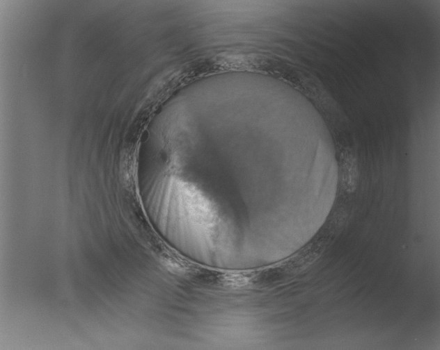 X0000076030701200610201827