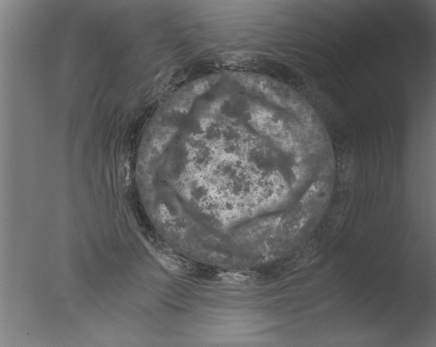 X0000076030703200610201827