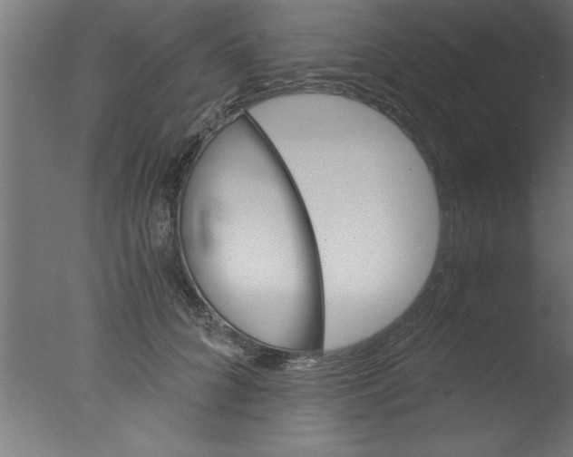 X0000076030704200610201827