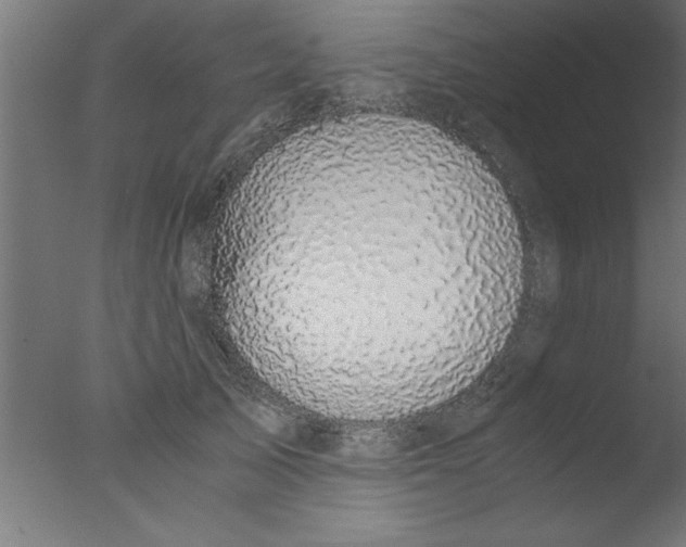 X0000076030705200610201827