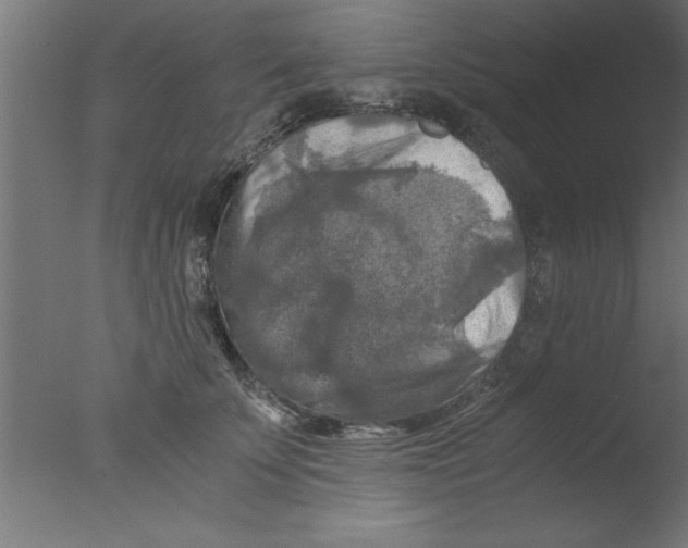 X0000076030707200610201827