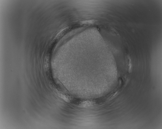 X0000076030708200610201827