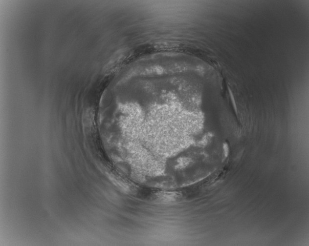 X0000076030711200610201827