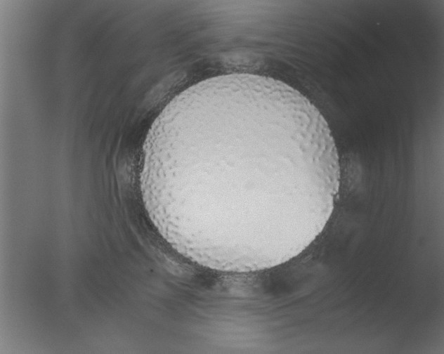 X0000076030713200610201827