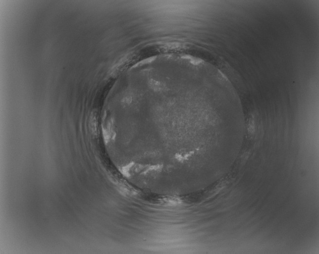 X0000076030715200610201827