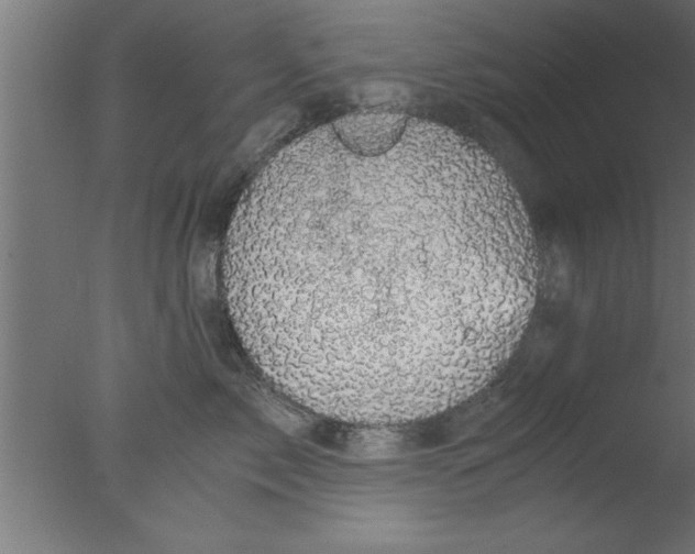 X0000076030717200610201827