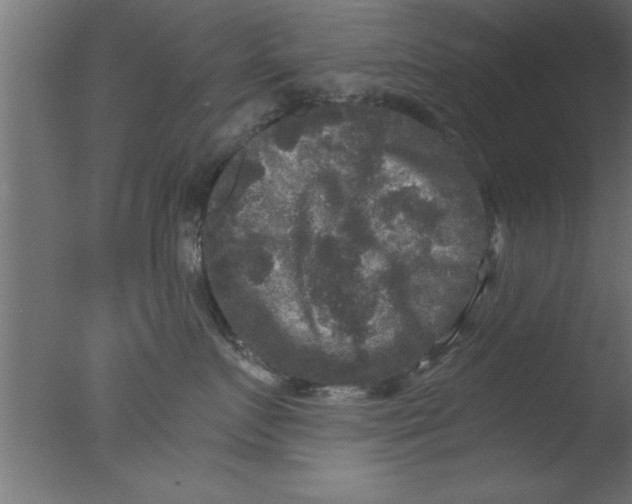 X0000076030719200610201827