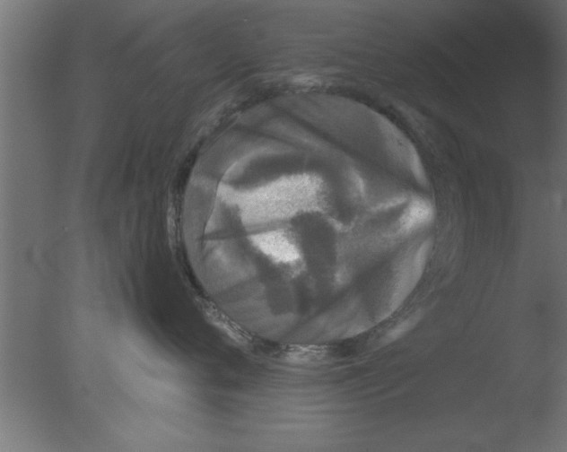 X0000076030720200610201827