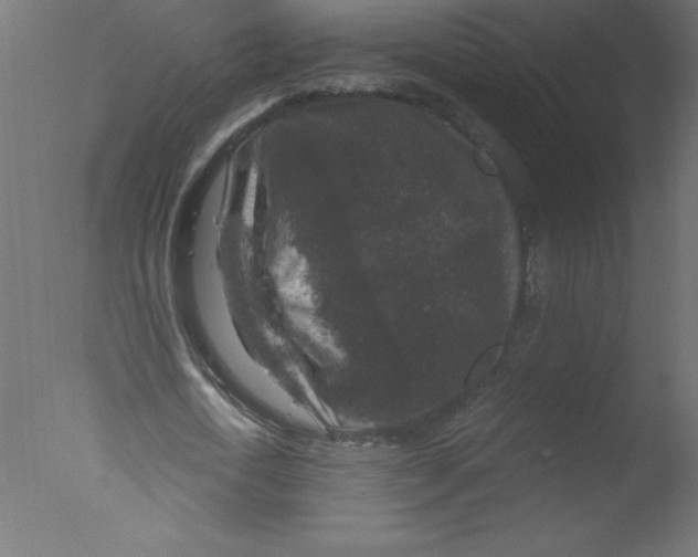 X0000076030722200610201826