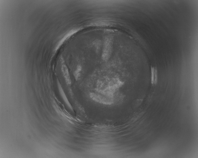 X0000076030723200610201826