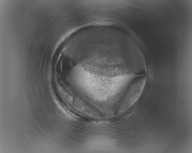 X0000076030726200610201826