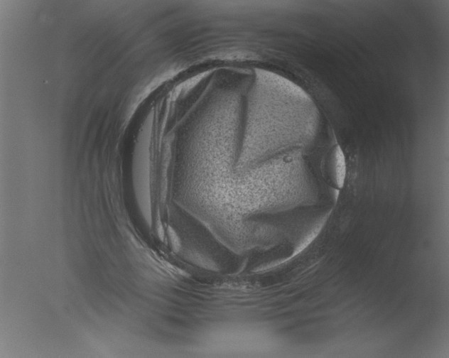 X0000076030727200610201826