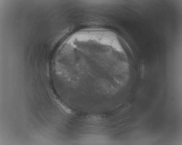 X0000076030729200610201826