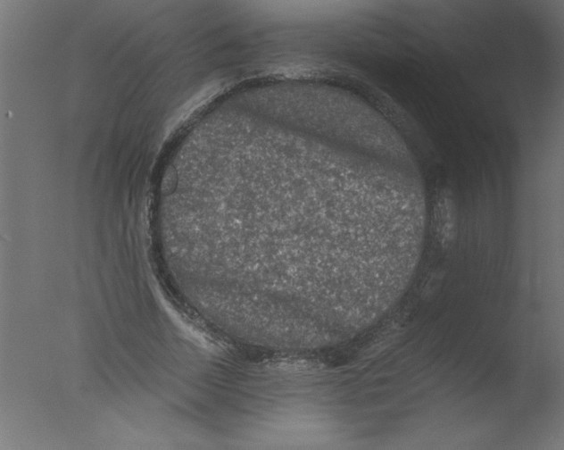 X0000076030730200610201826